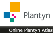 plantyn